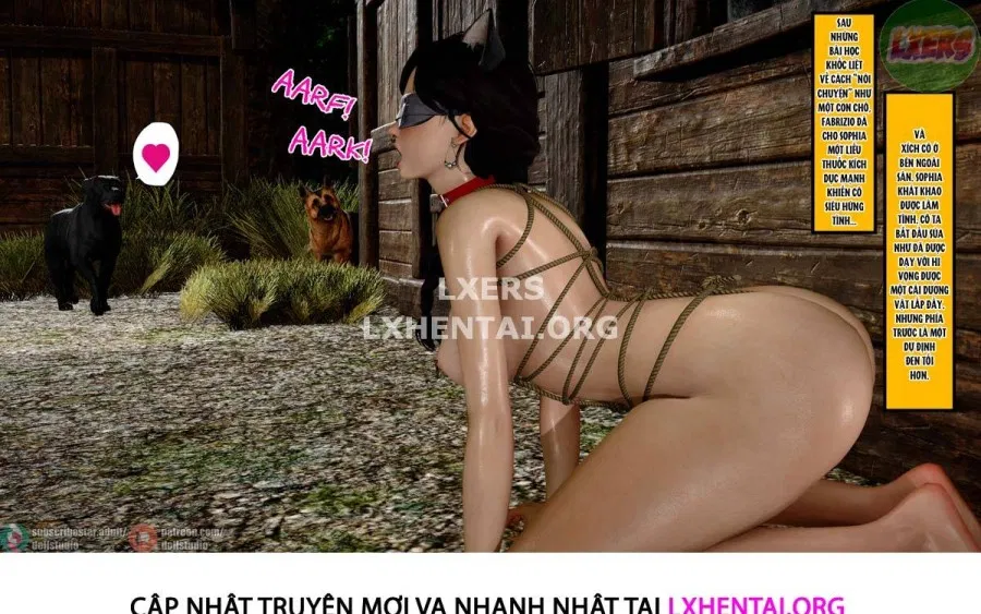 Quý Co Hoàng Gia 