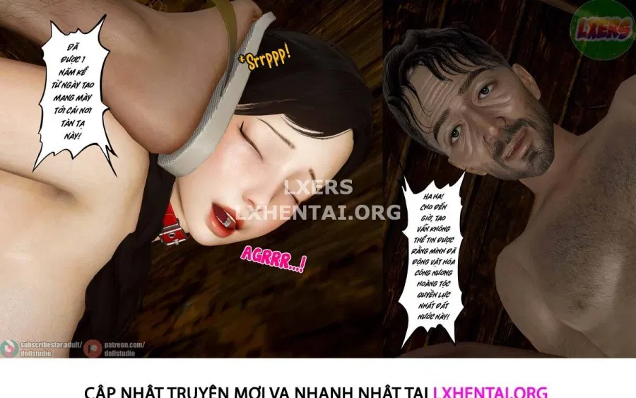 Quý Co Hoàng Gia 