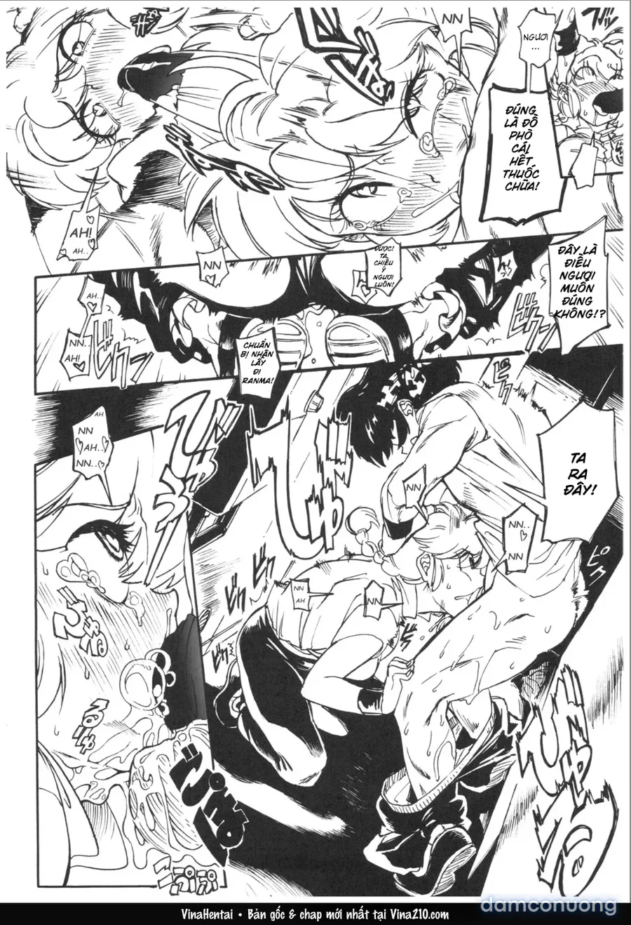 Đạo tàn bụ Ranma saotome 