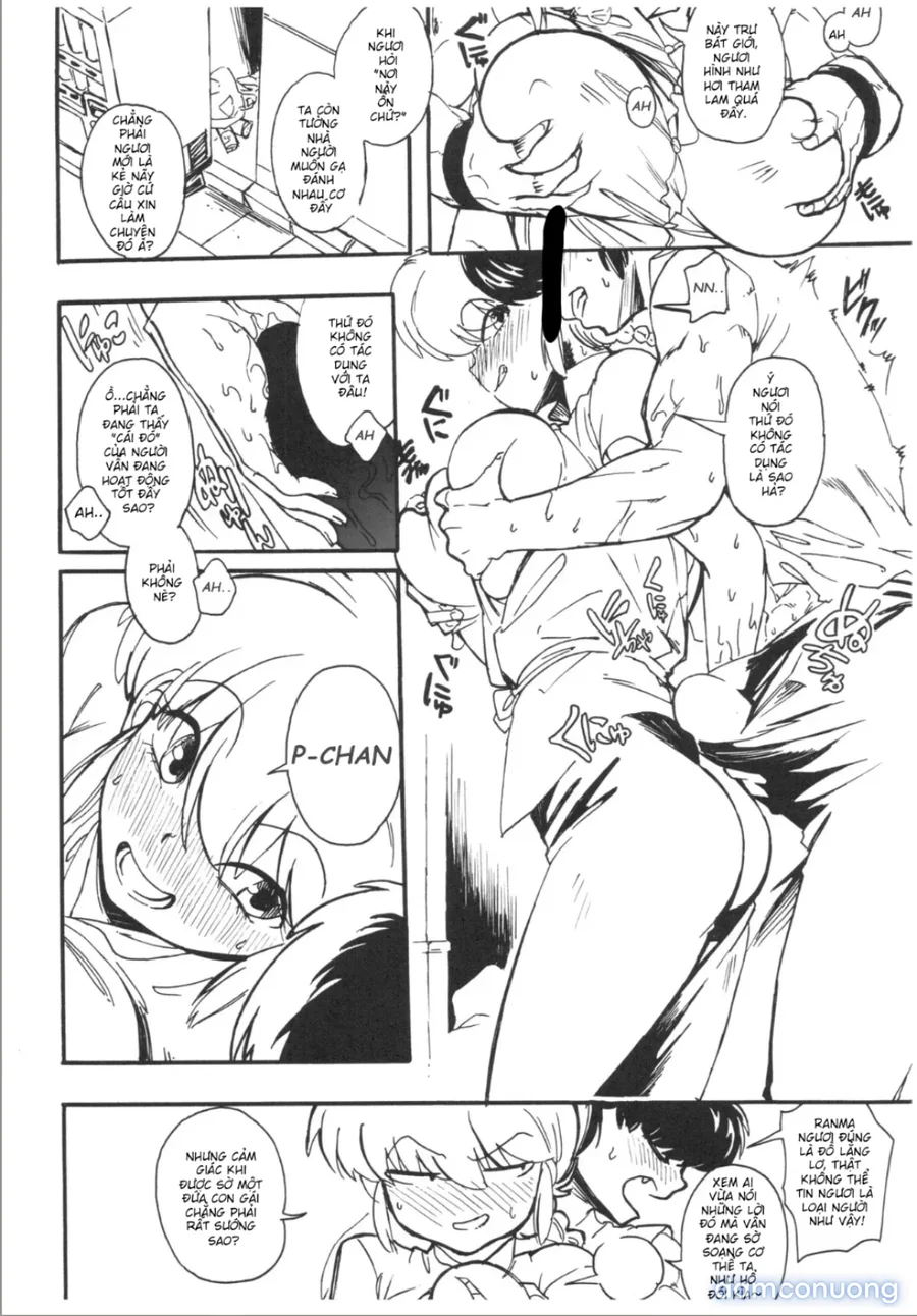 Đạo tàn bụ Ranma saotome 