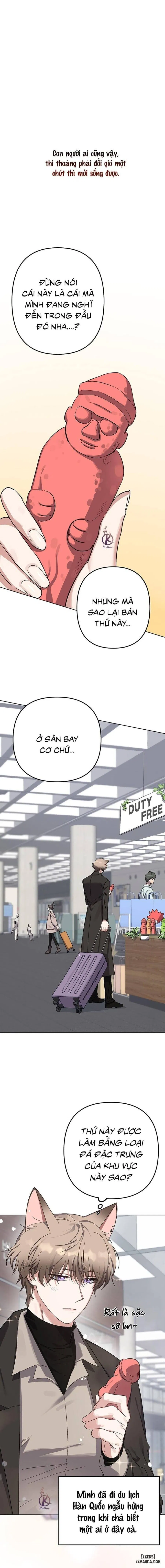 Thỏ 3 giây là bắn 