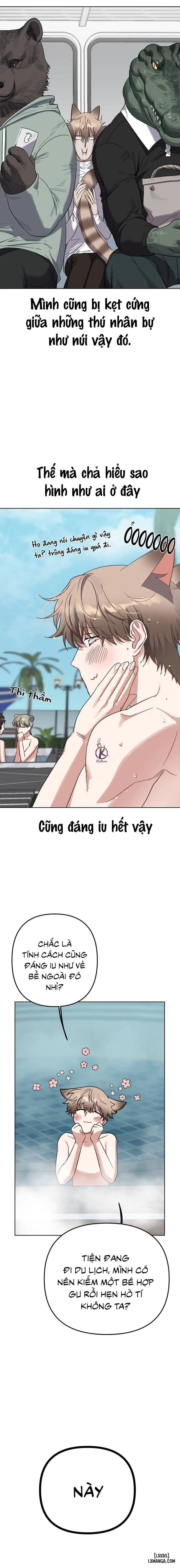 Thỏ 3 giây là bắn 