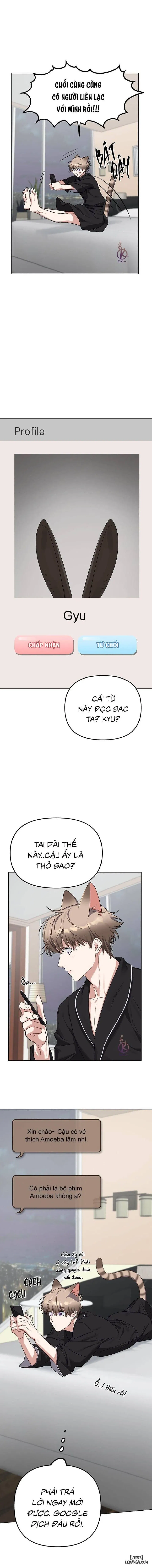 Thỏ 3 giây là bắn 