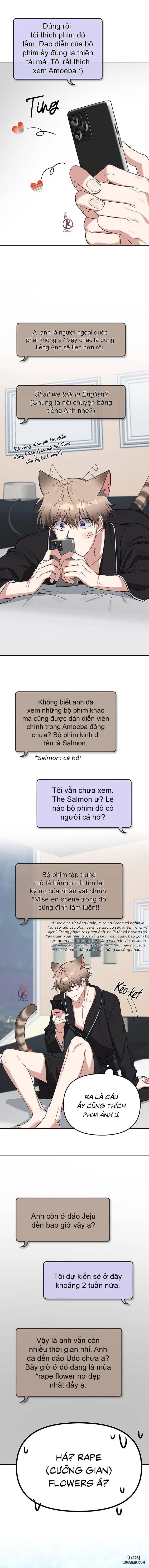 Thỏ 3 giây là bắn 