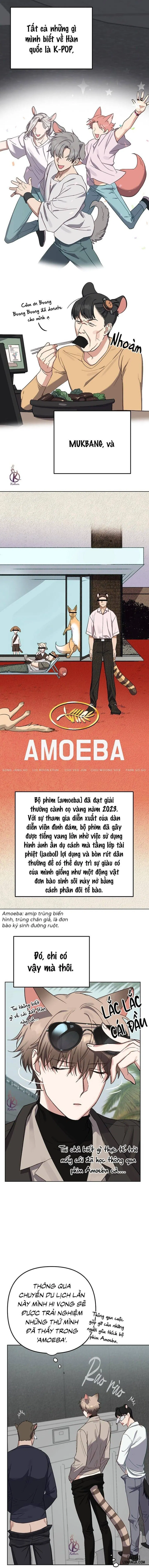 Thỏ 3 giây là bắn 