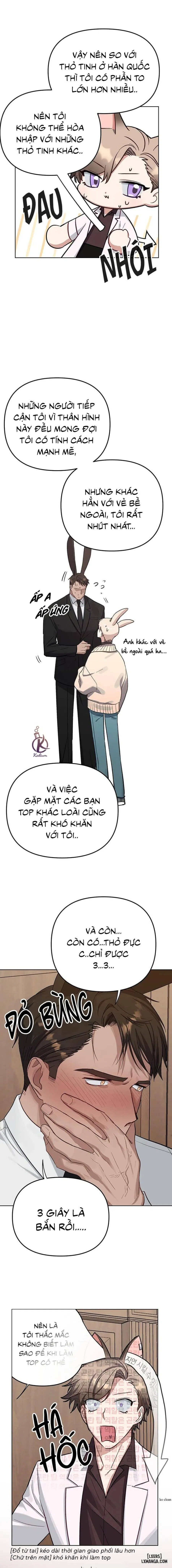 Thỏ 3 giây là bắn 