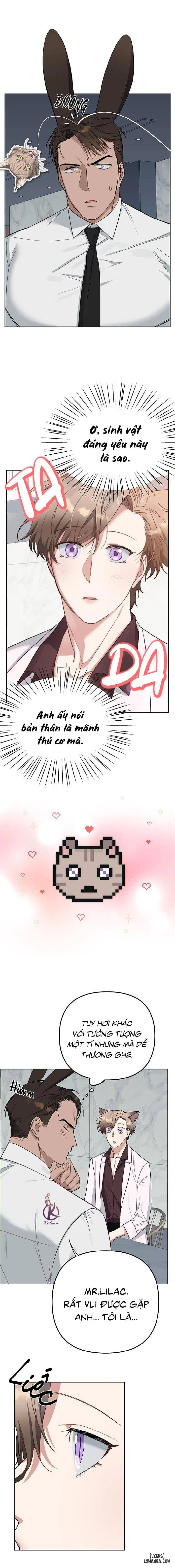 Thỏ 3 giây là bắn 