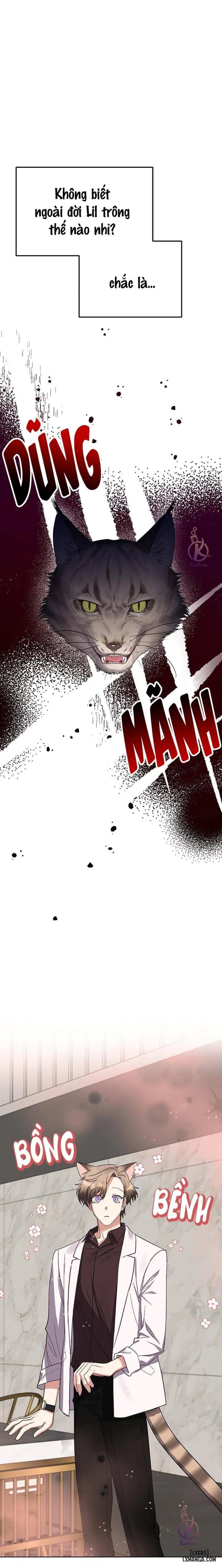 Thỏ 3 giây là bắn 