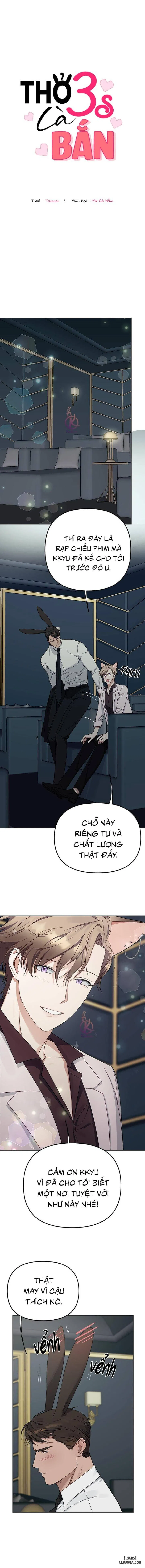 Thỏ 3 giây là bắn 
