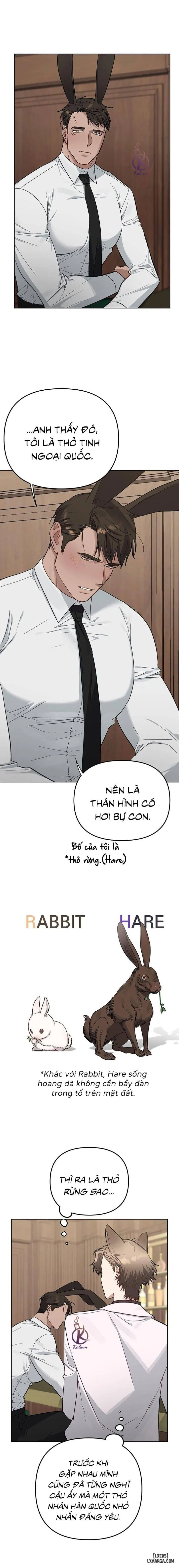 Thỏ 3 giây là bắn 