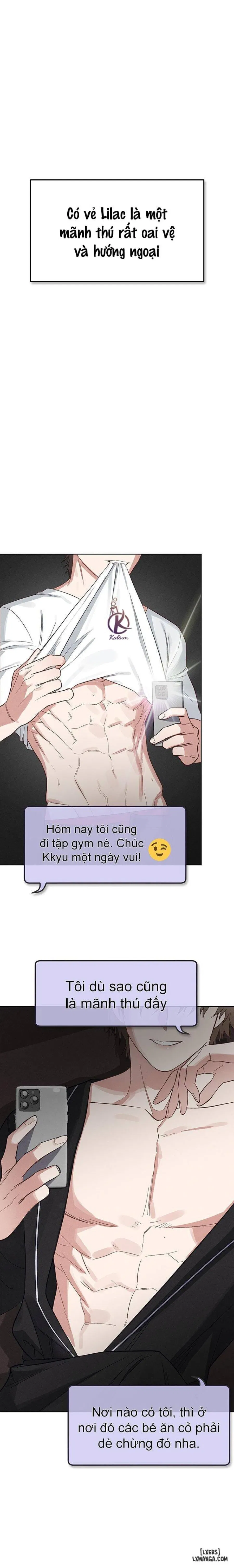 Thỏ 3 giây là bắn 