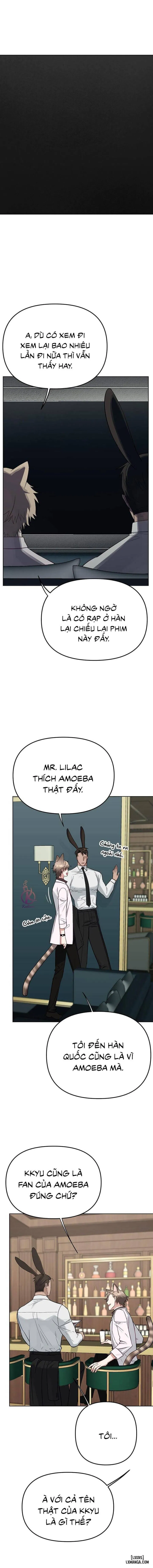 Thỏ 3 giây là bắn 