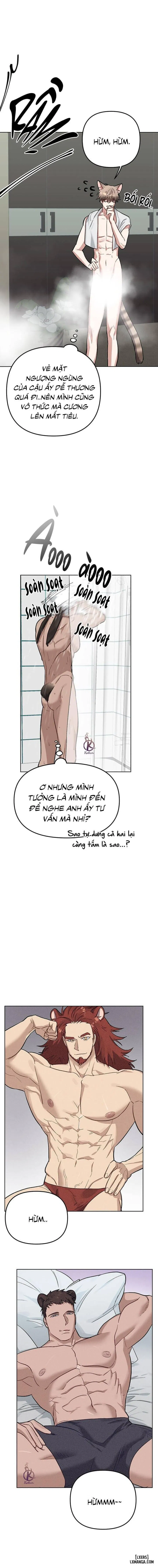 Thỏ 3 giây là bắn 