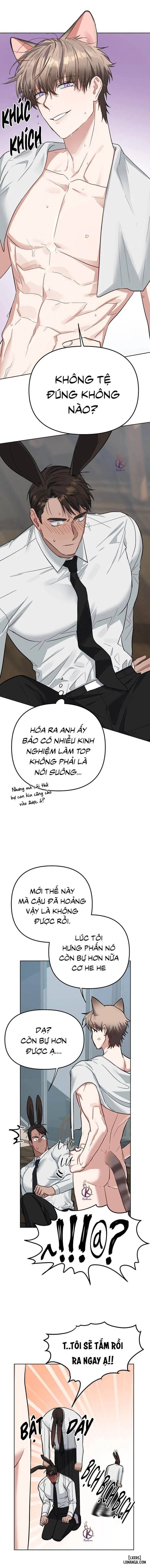 Thỏ 3 giây là bắn 