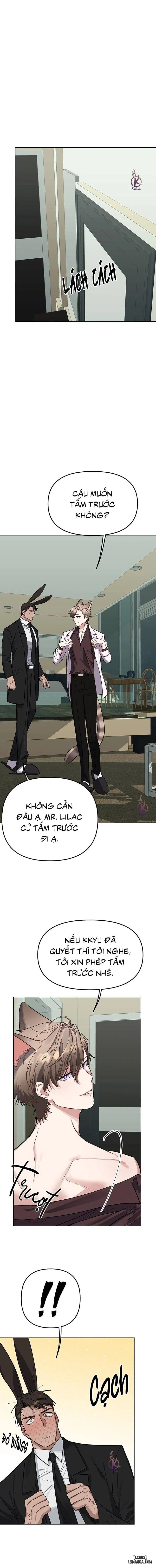 Thỏ 3 giây là bắn 