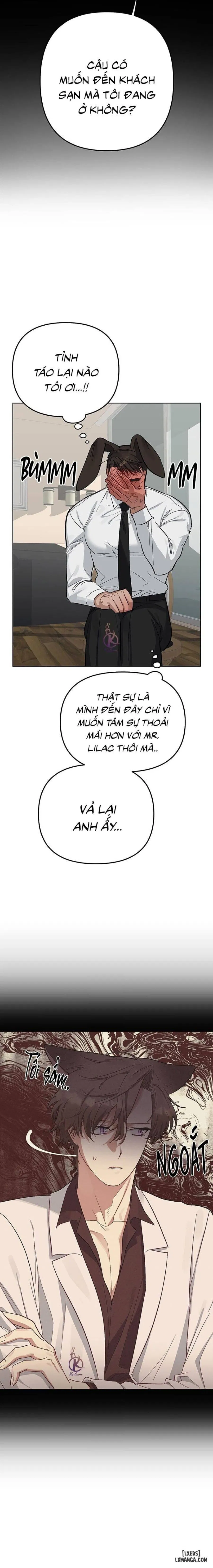 Thỏ 3 giây là bắn 