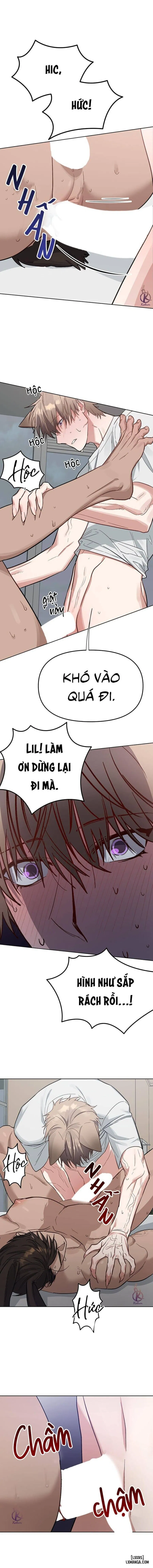 Thỏ 3 giây là bắn 