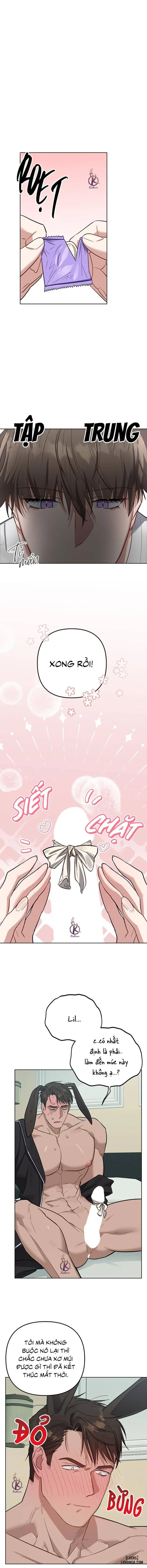 Thỏ 3 giây là bắn 