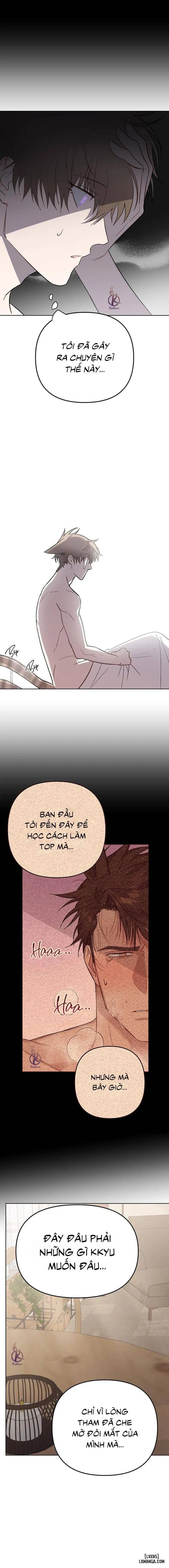 Thỏ 3 giây là bắn 