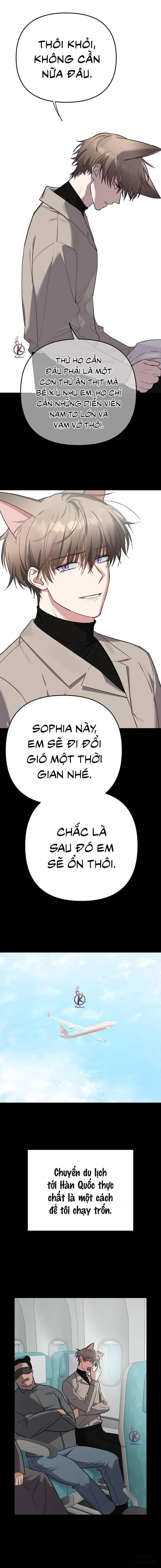 Thỏ 3 giây là bắn 