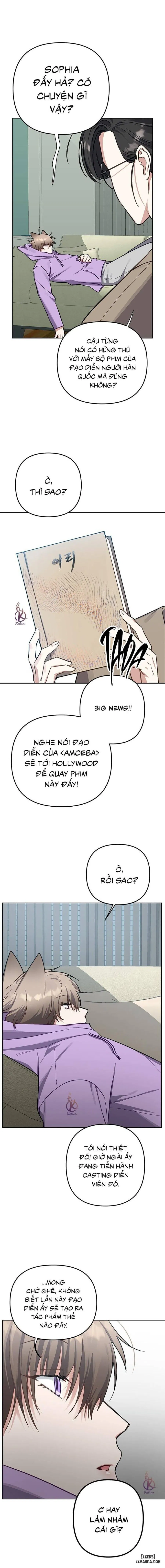 Thỏ 3 giây là bắn 