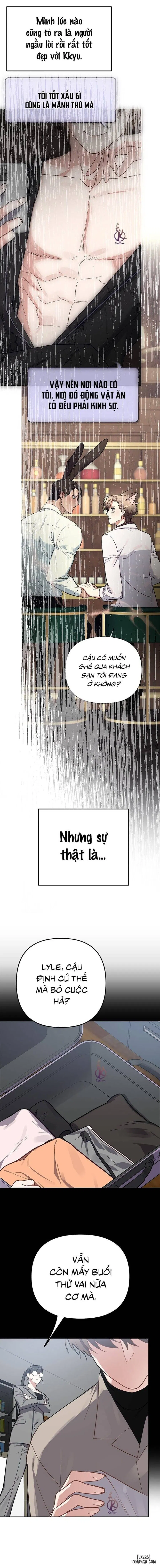 Thỏ 3 giây là bắn 