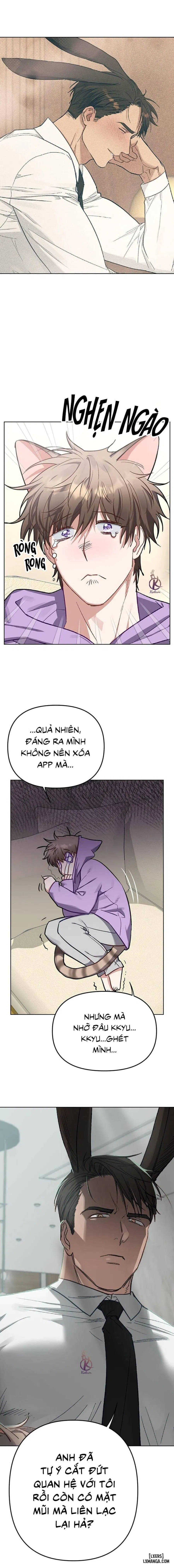 Thỏ 3 giây là bắn 