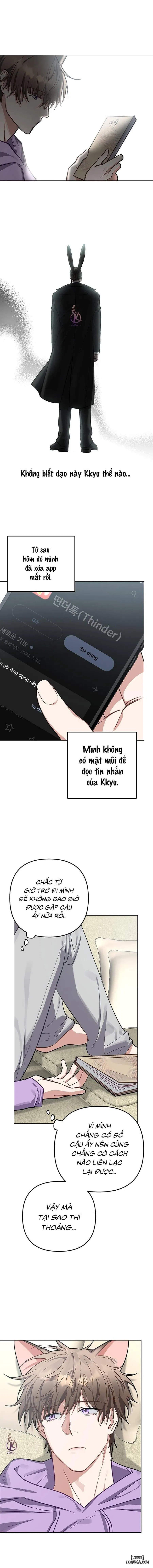 Thỏ 3 giây là bắn 