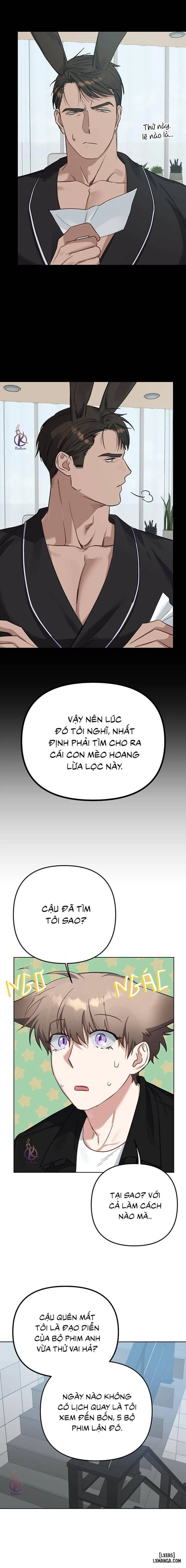 Thỏ 3 giây là bắn 