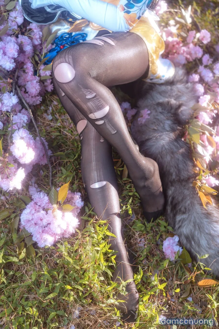 Hình Cosplay 