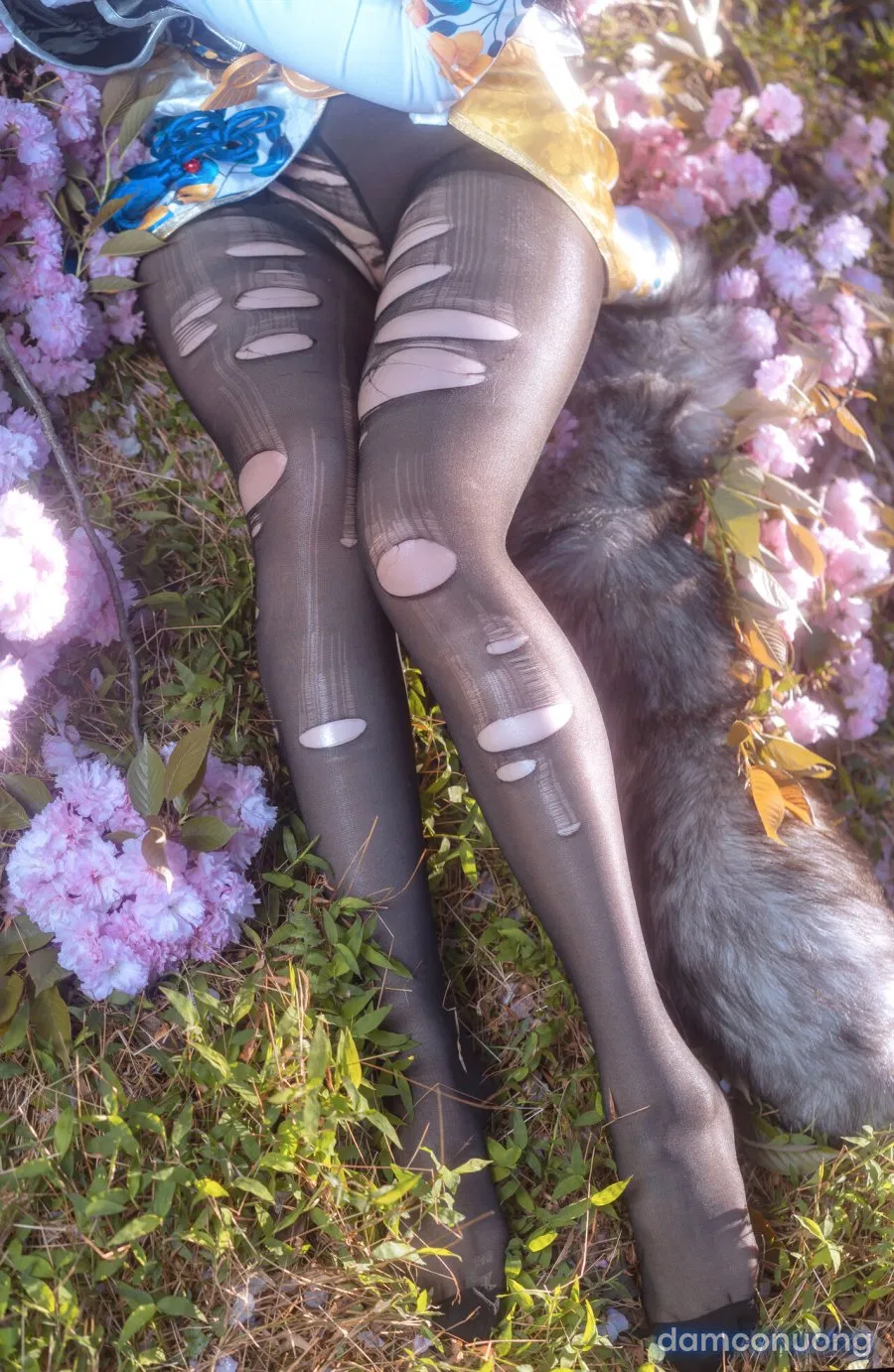 Hình Cosplay 