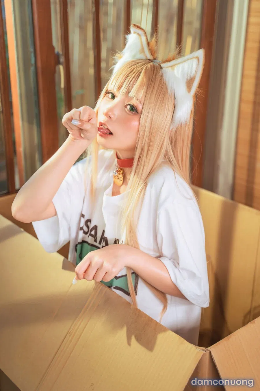 Hình Cosplay 