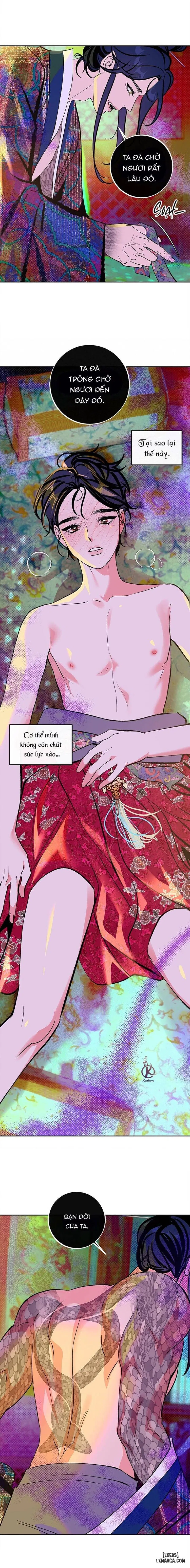 Khổng xà vô xích 