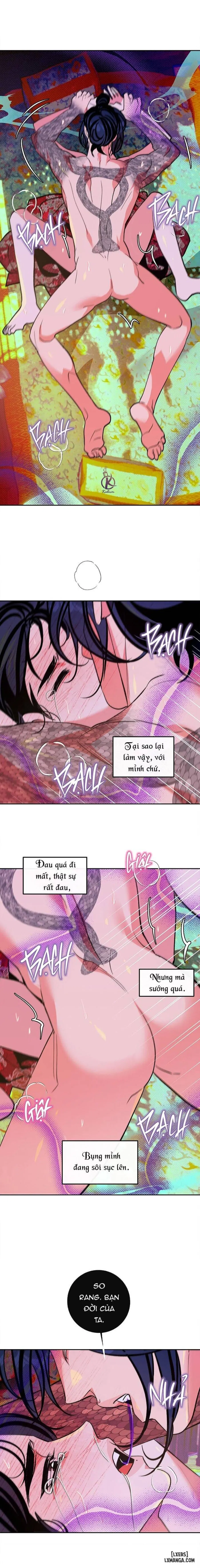 Khổng xà vô xích 