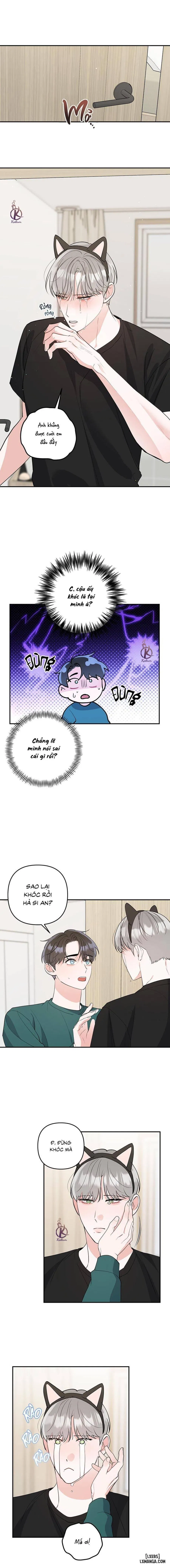 Không phải con mèo đó, con mèo này cơ! 