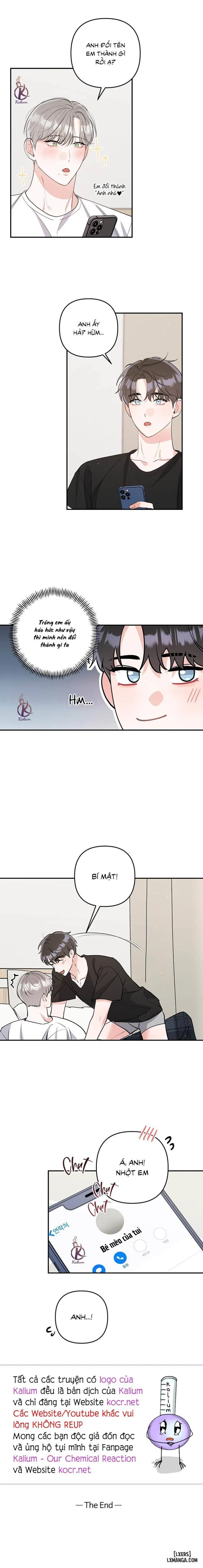 Không phải con mèo đó, con mèo này cơ! 
