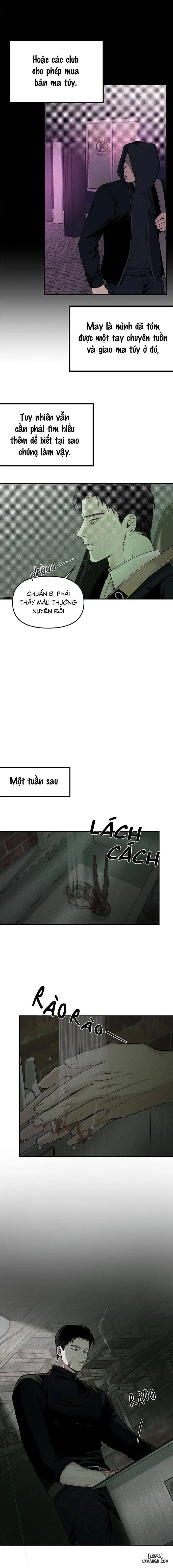 Projection - Hình chiếu 