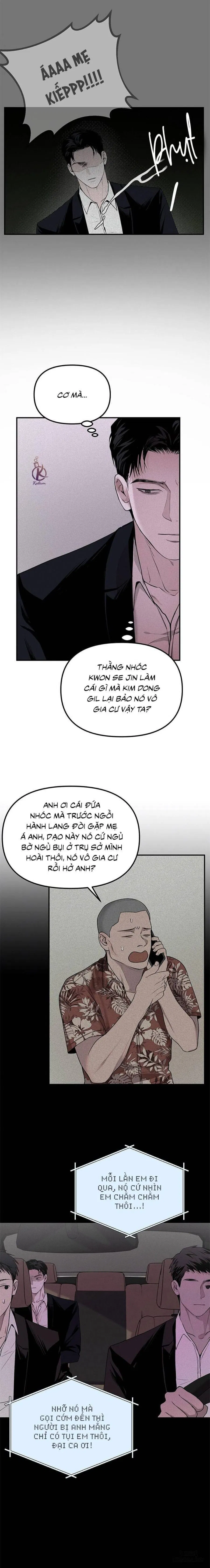 Projection - Hình chiếu 