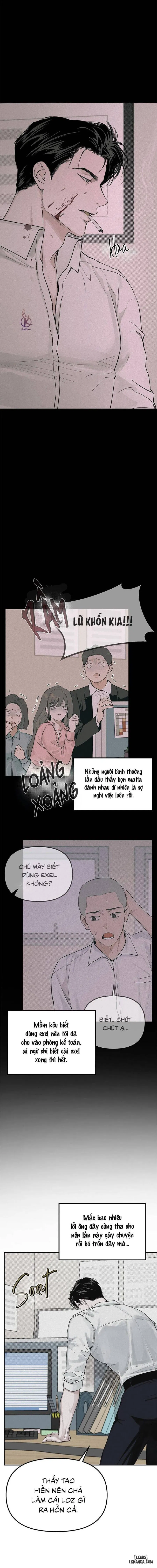 Projection - Hình chiếu 