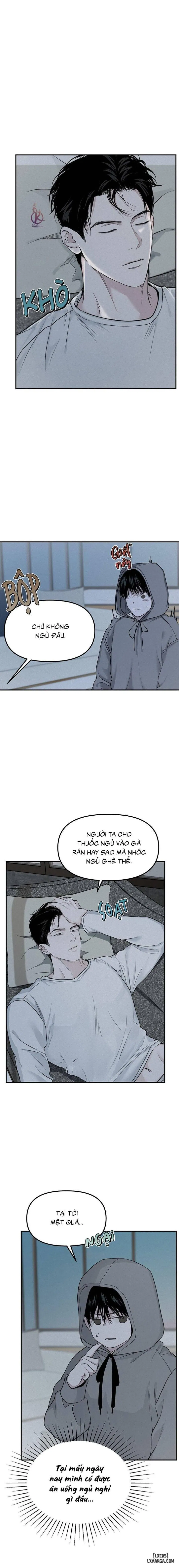 Projection - Hình chiếu 
