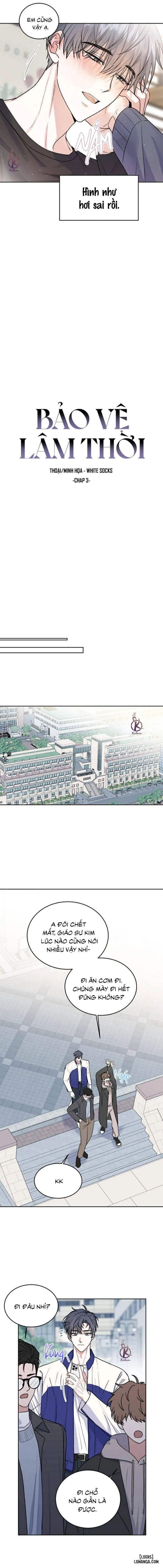 Bảo vệ lâm thời 