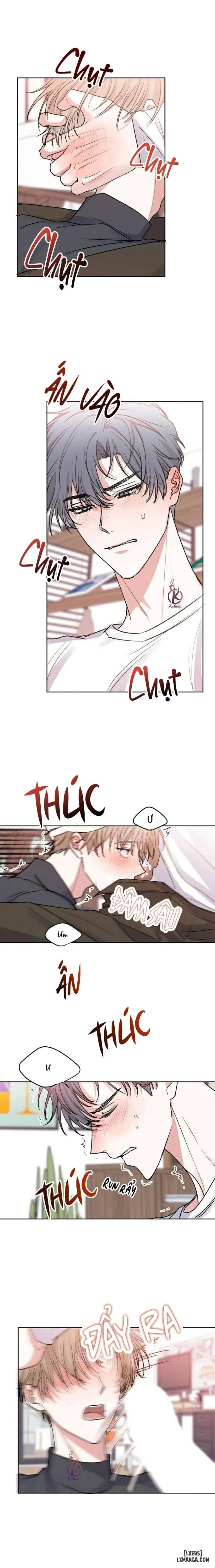 Bảo vệ lâm thời 