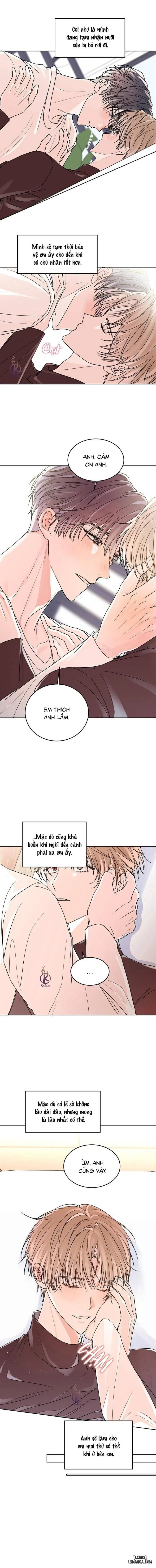 Bảo vệ lâm thời 