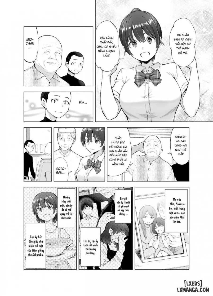 Sakura Saku Chiru Hanabira 