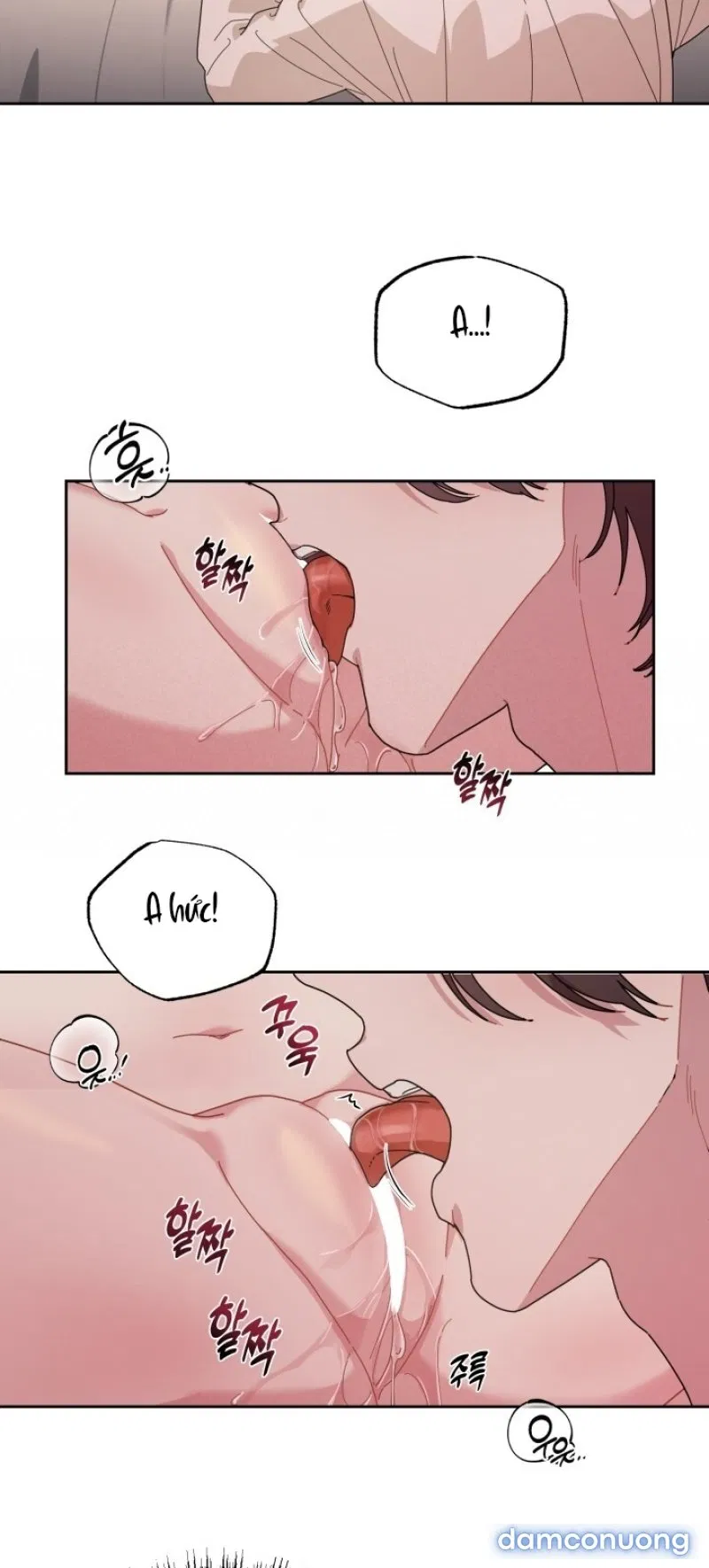 [18+] XX ARCHIVE 