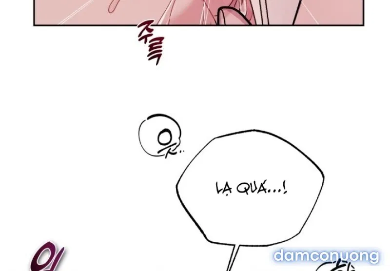 [18+] XX ARCHIVE 