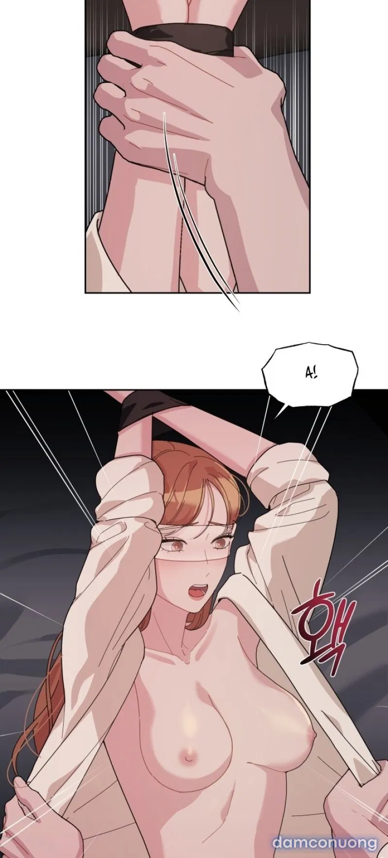 [18+] XX ARCHIVE 