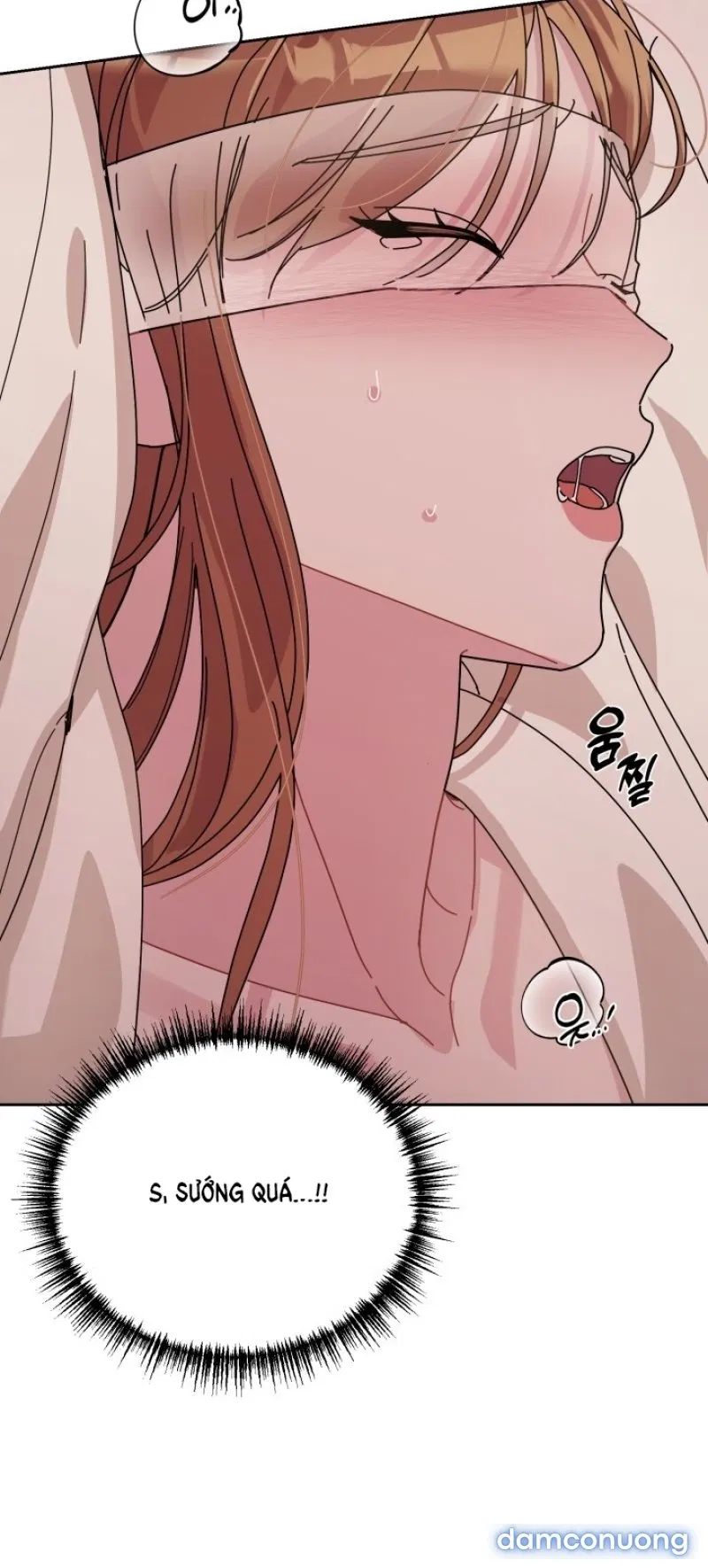 [18+] XX ARCHIVE 