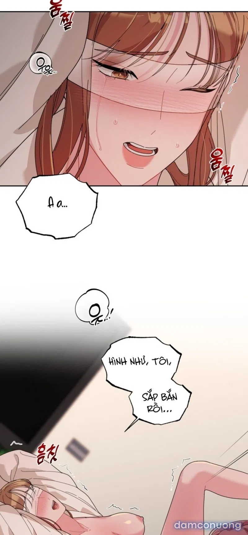[18+] XX ARCHIVE 