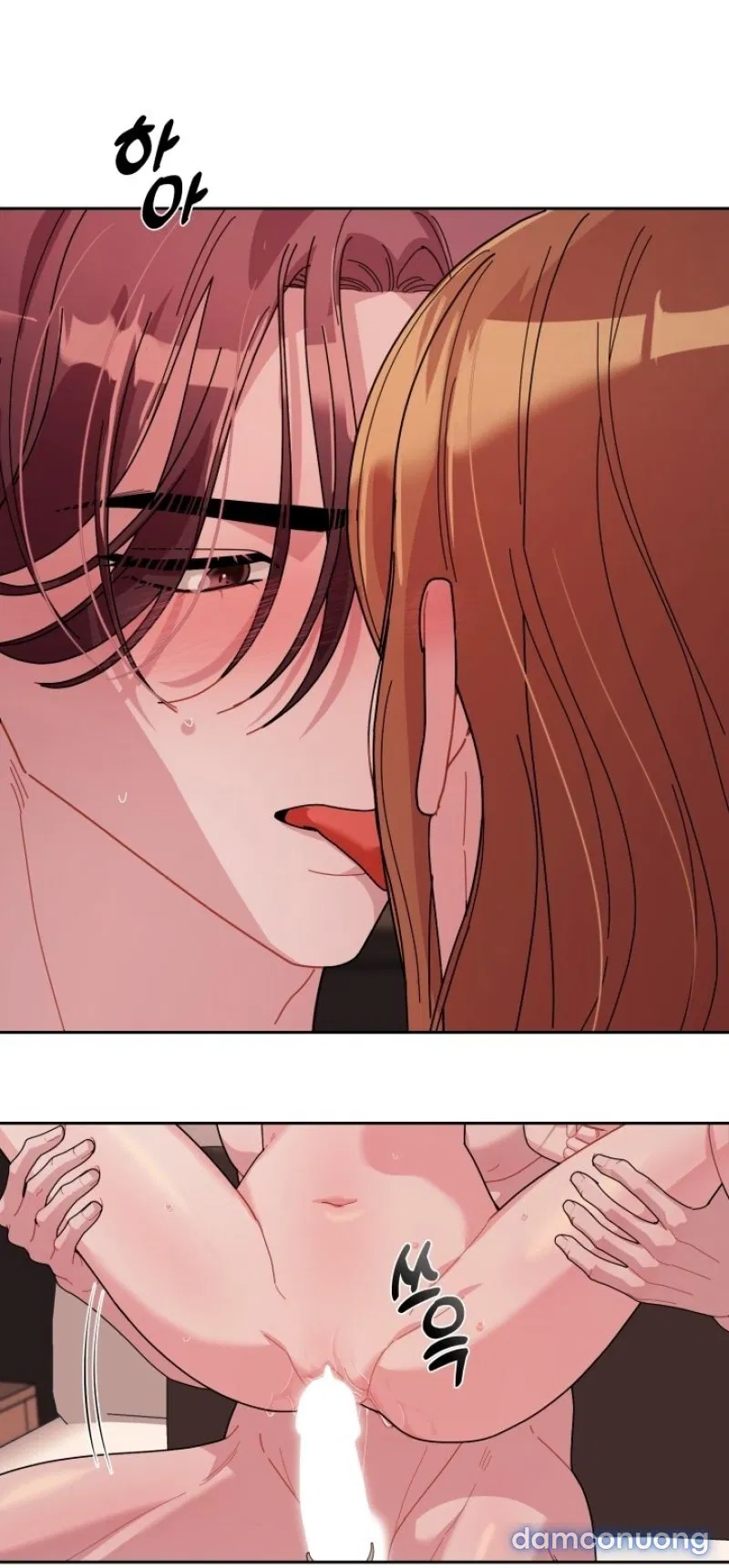 [18+] XX ARCHIVE 